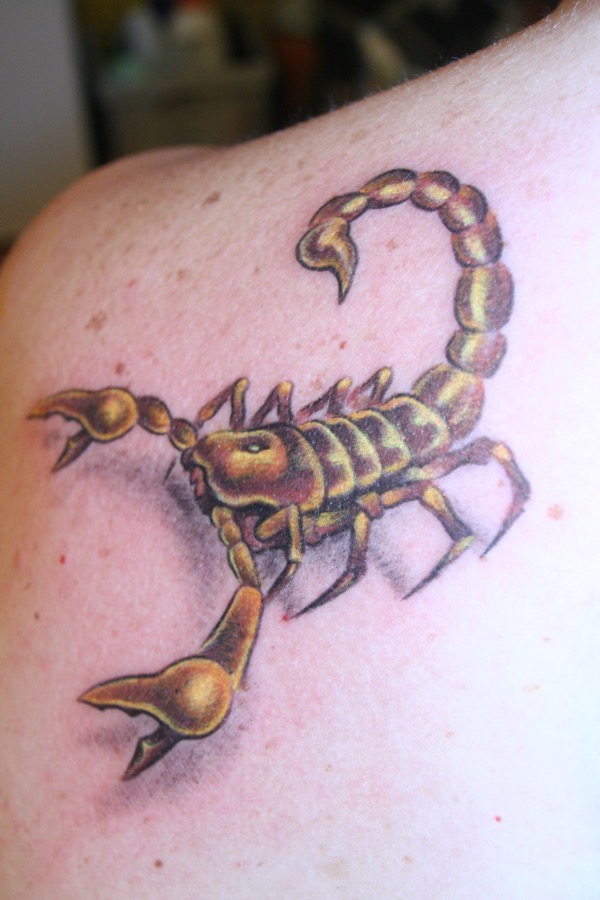 scorpion d’or