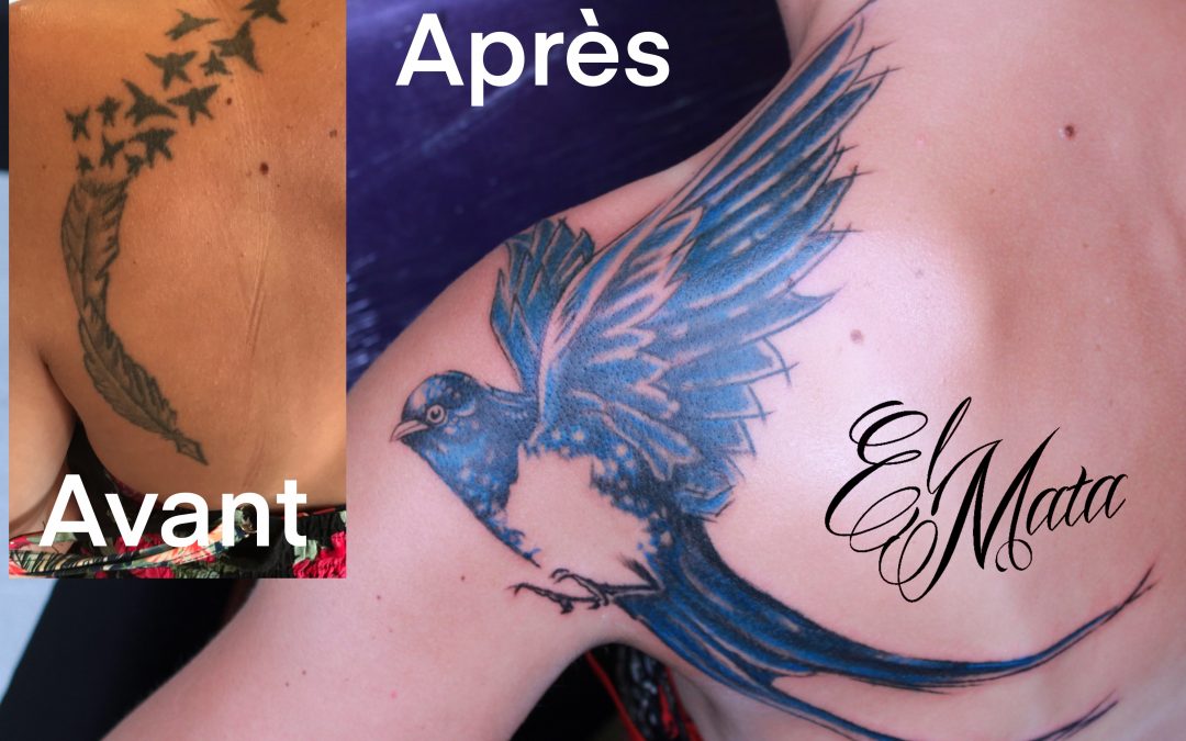 recouvrement d’une plume et envolée d’oiseaux par une hirondelle couleur style graphique