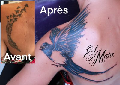 recouvrement d’une plume et envolée d’oiseaux par une hirondelle couleur style graphique