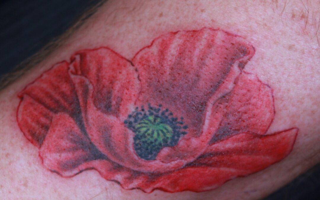 coquelicot réaliste en couleurs