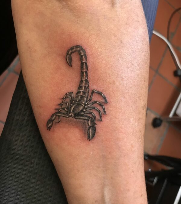scorpion nuance de gris