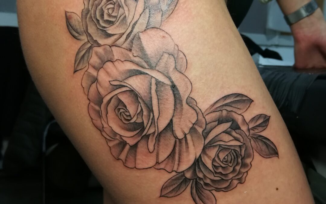 roses et feuillage nuances de gris