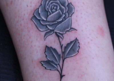 rose en bouton sur tige nuances de gris