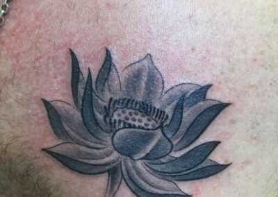 lotus nuance de gris