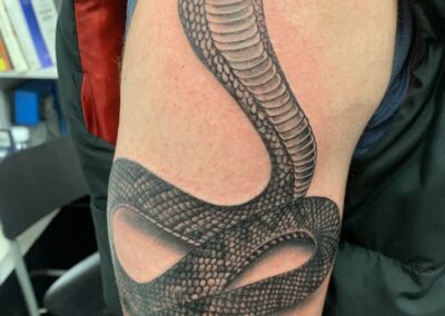 serpent cobra dressé