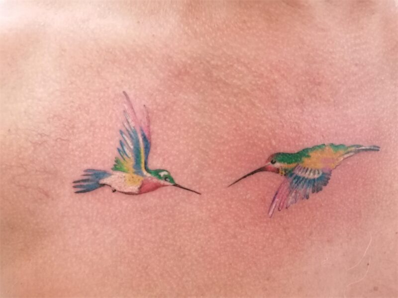 colibris en vol aquarelle couleurs (1)