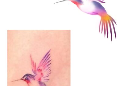 reproduction d’un colibri d’après un exemple du web