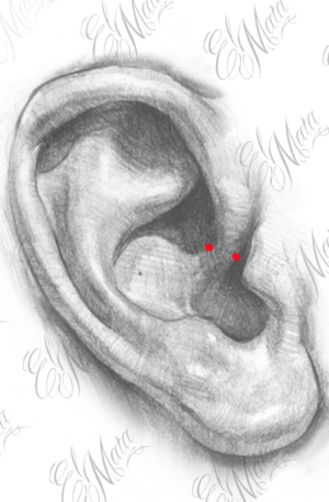 Daith