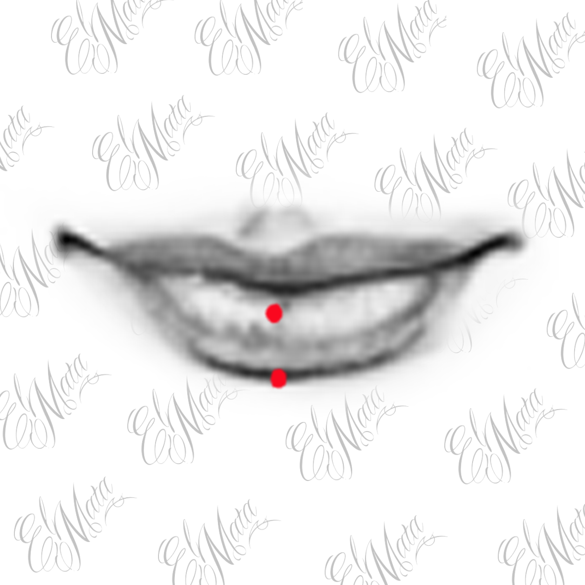 inférieure verticale