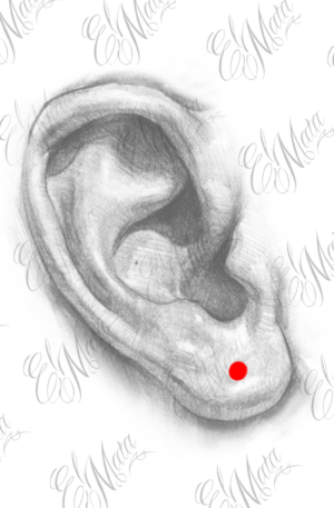 Agrandissement lobe