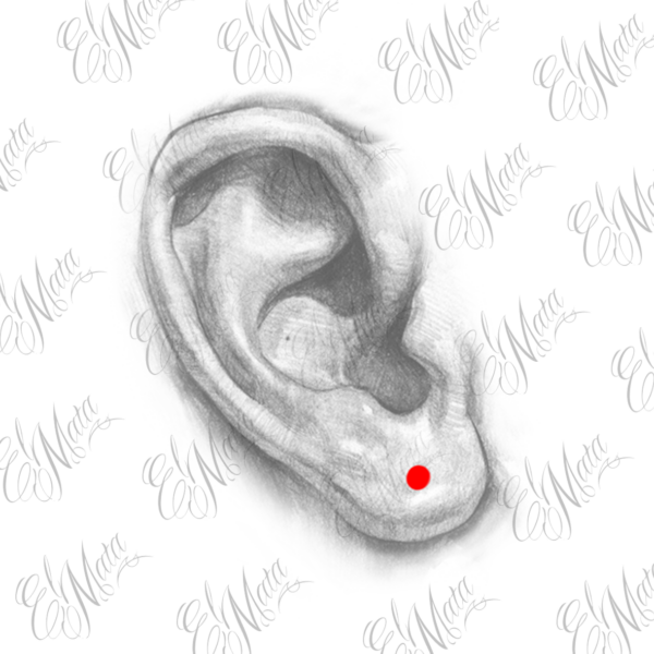 Agrandissement lobe