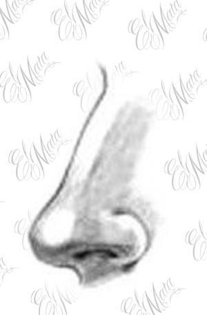 Nez