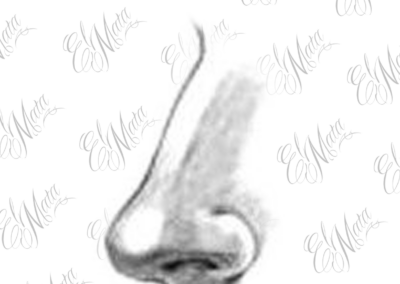 piercing nez