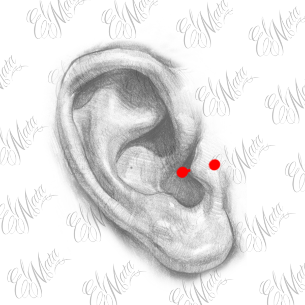 Tragus