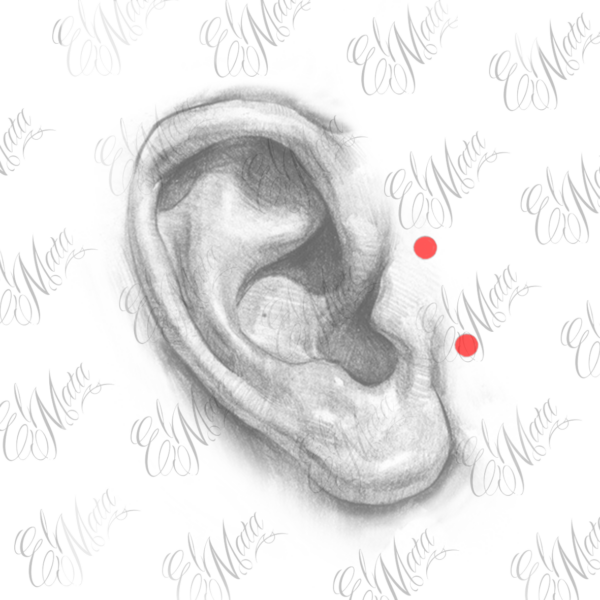 tragus