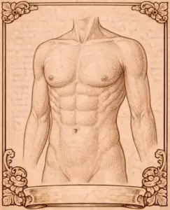 Piercing génitaux homme, Piercing corps surface