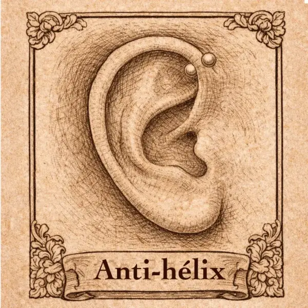anti-hélix Piercing oreille
