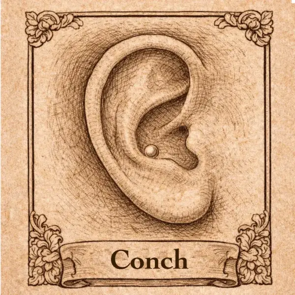 conch Piercing oreille