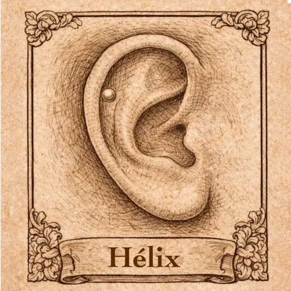 hélix Piercing oreille