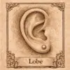 lobe Piercing oreille modèle lobe