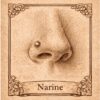 narine Piercing nez