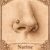 narine Piercing nez