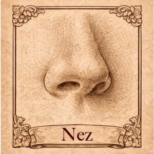 Piercing 4 Piercing nez