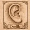 Piercing oreille 3 Piercing oreille