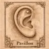pavillon Piercing oreille