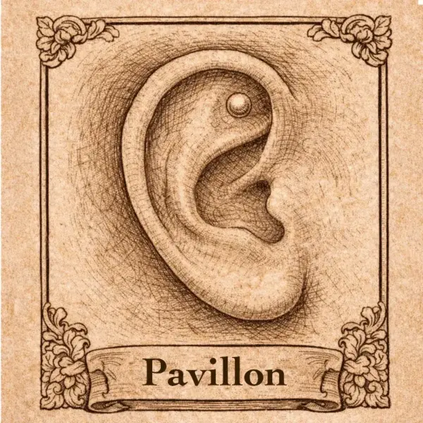 pavillon Piercing oreille