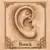 rook Piercing oreille