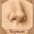 septum Piercing nez