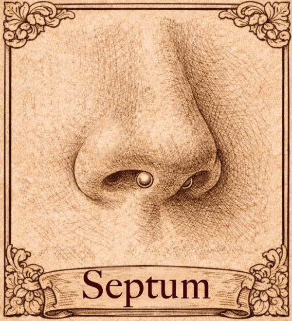 septum Piercing nez