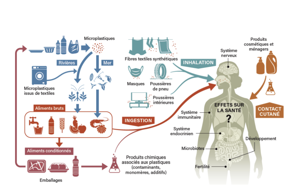 info film alimentaire